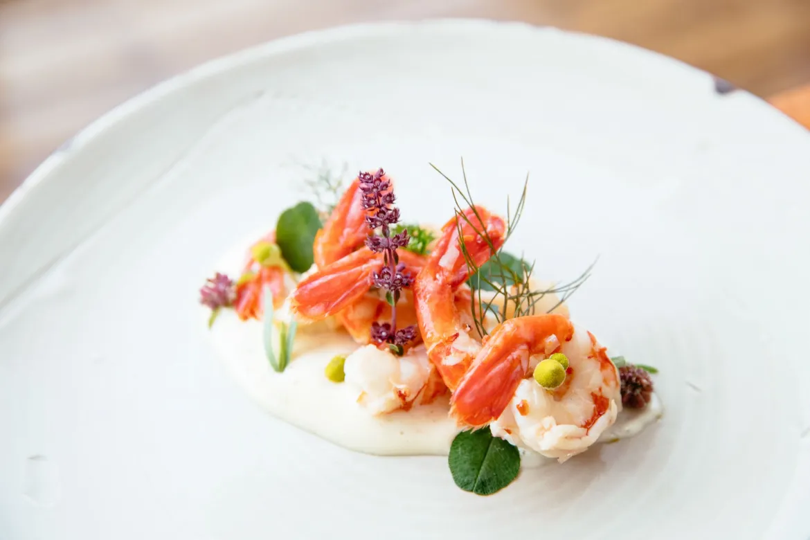 Wilderness culinary experiences - ethically harvested BC Spot Prawns