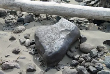 Indigenous petroglyphs on the riverbank