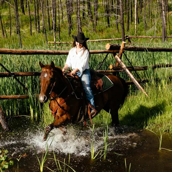 A woman rides her beautiful horse across a wilderness stream