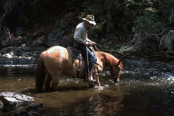 Cooling off on a Siwash Lake horseback riding adventure with a cold drink from the river