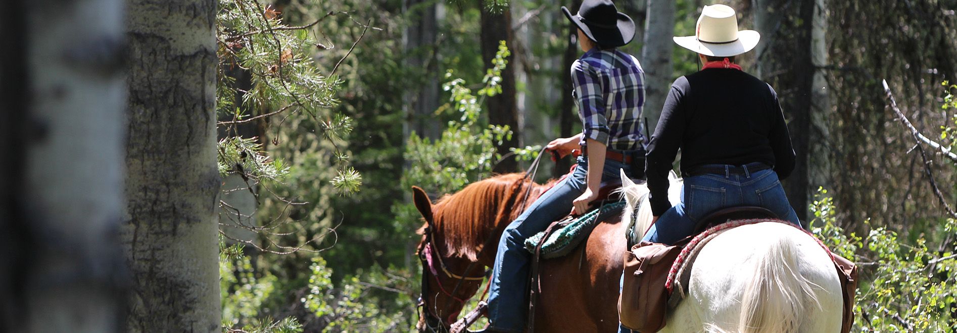 Canadian Luxury Guest Ranch Vacation Western Horse Riding - 