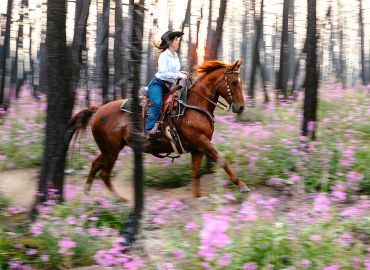 Horseback riding at Siwash Lake