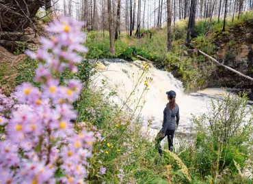 wellness at Siwash lake