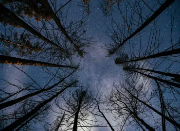 Star Gazing Adventure