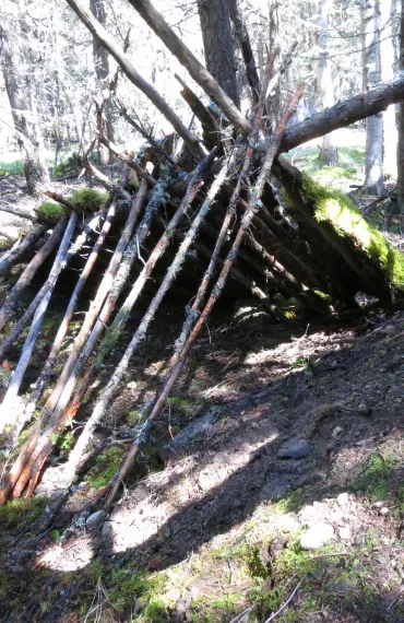 Learn to build a natural shelter