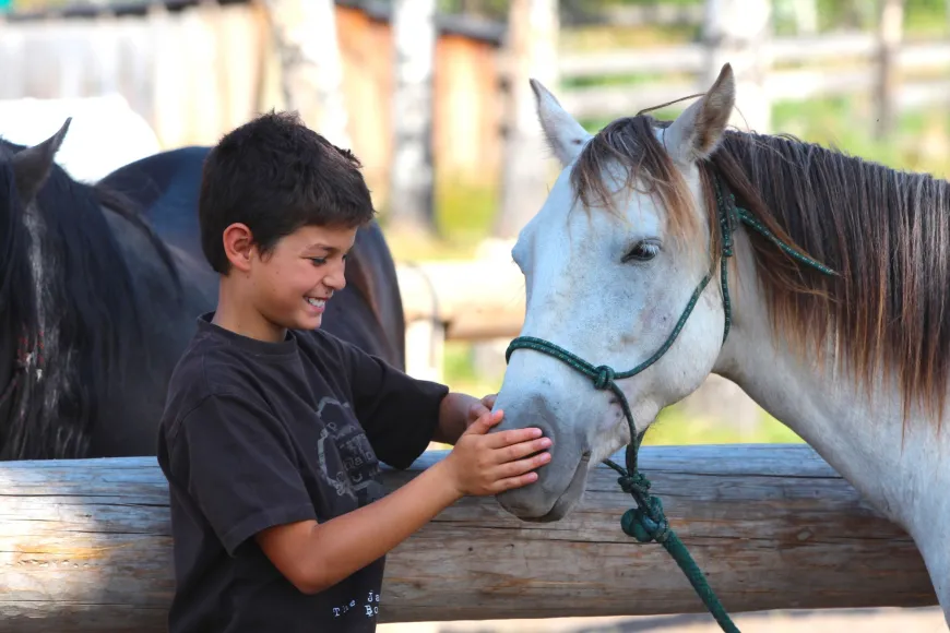 A magical bond between a boy and his horse