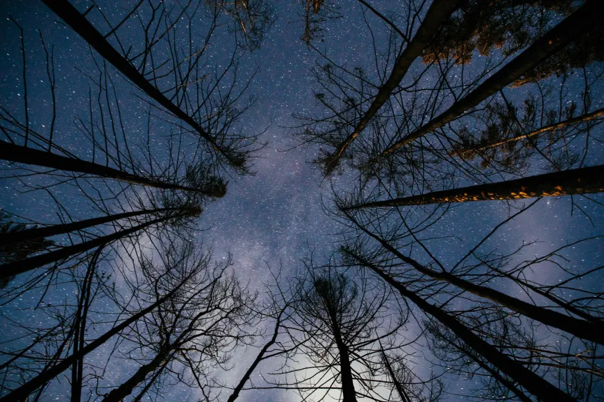 Star gazing at Siwash Lake