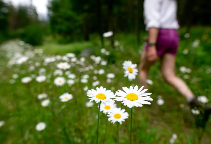 Self-guided hikes at Siwash Lake