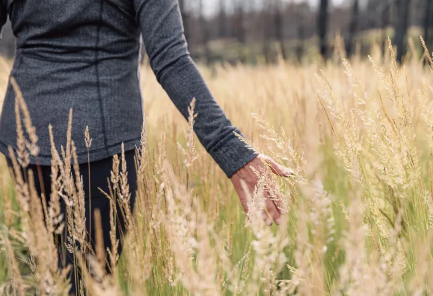 Take a stroll through our grasslands