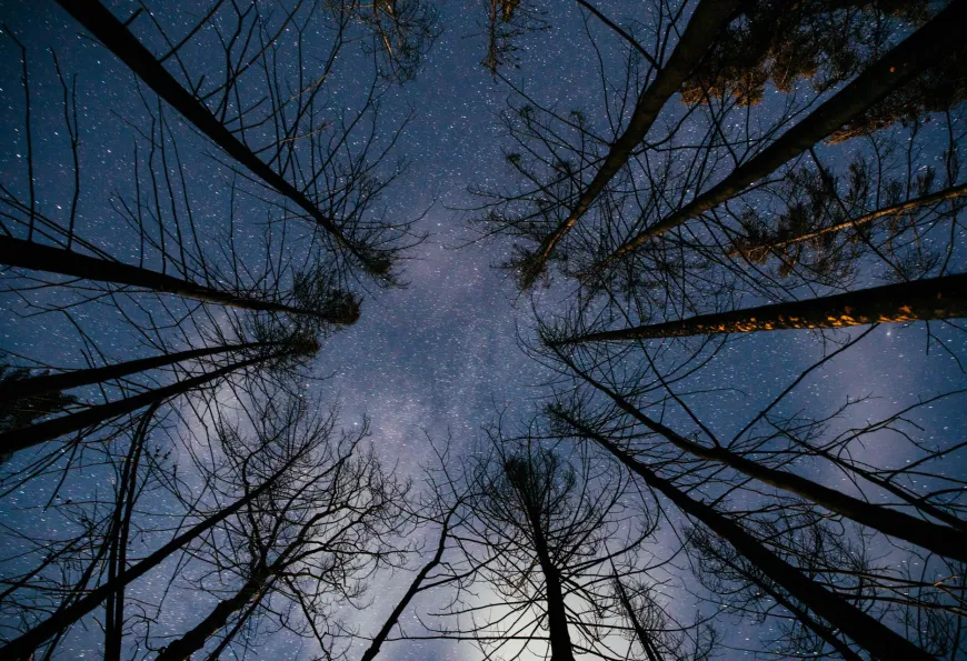 Seek solace in the stars at Siwash Lake