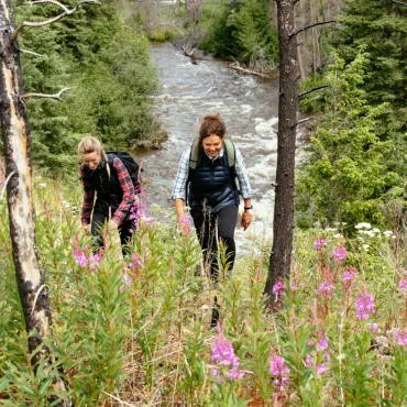 Backcountry hiking beside a wilderness river